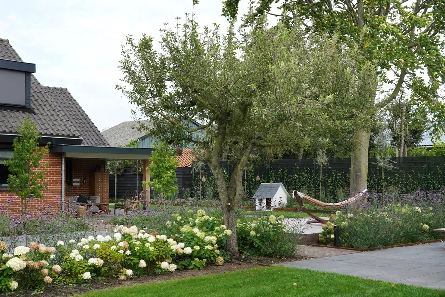 Hortensia’s en appelboom in een landelijke border