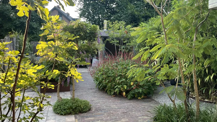 Weelderig tuinpad met gebakken klinkers, varens en sierbomen