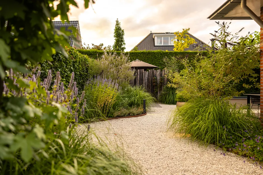 Natuurlijke border met siergrassen en agastache langs een grindpad