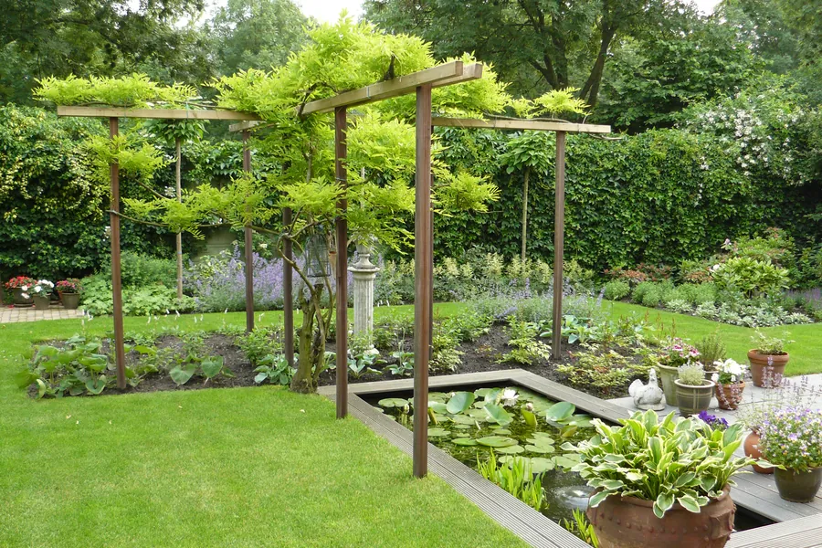 Pergola met blauweregen boven een verhoogde vijver